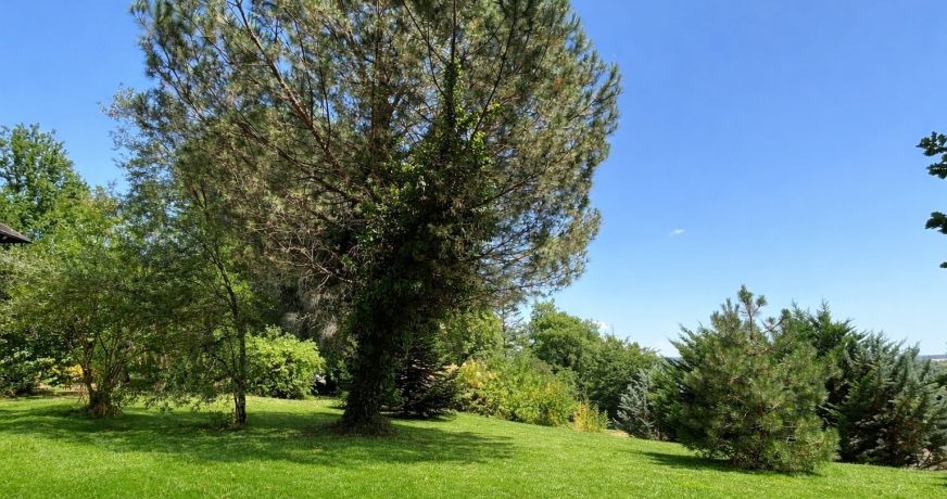 vente Maison Trelissac