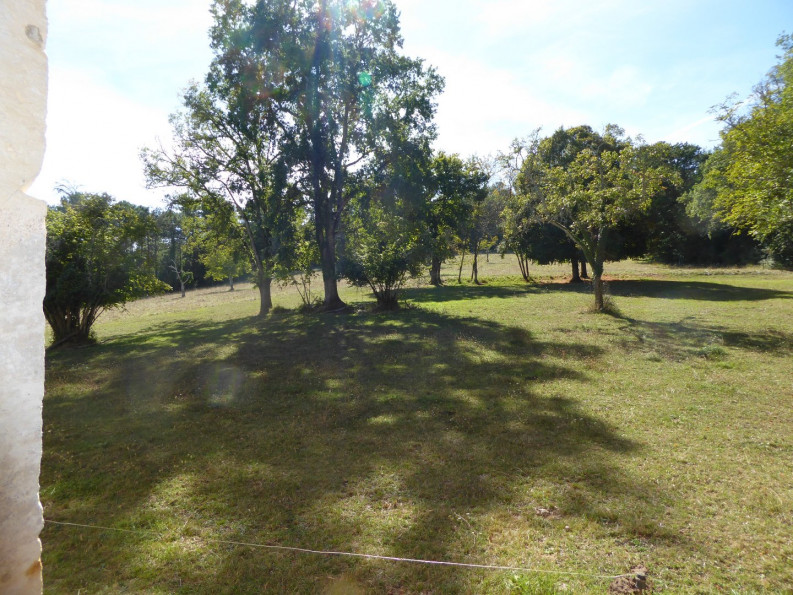 sale Château Perigueux - Photo 16