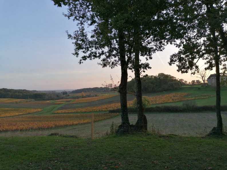 vente Maison Saint Genes De Castillon - Photo 11