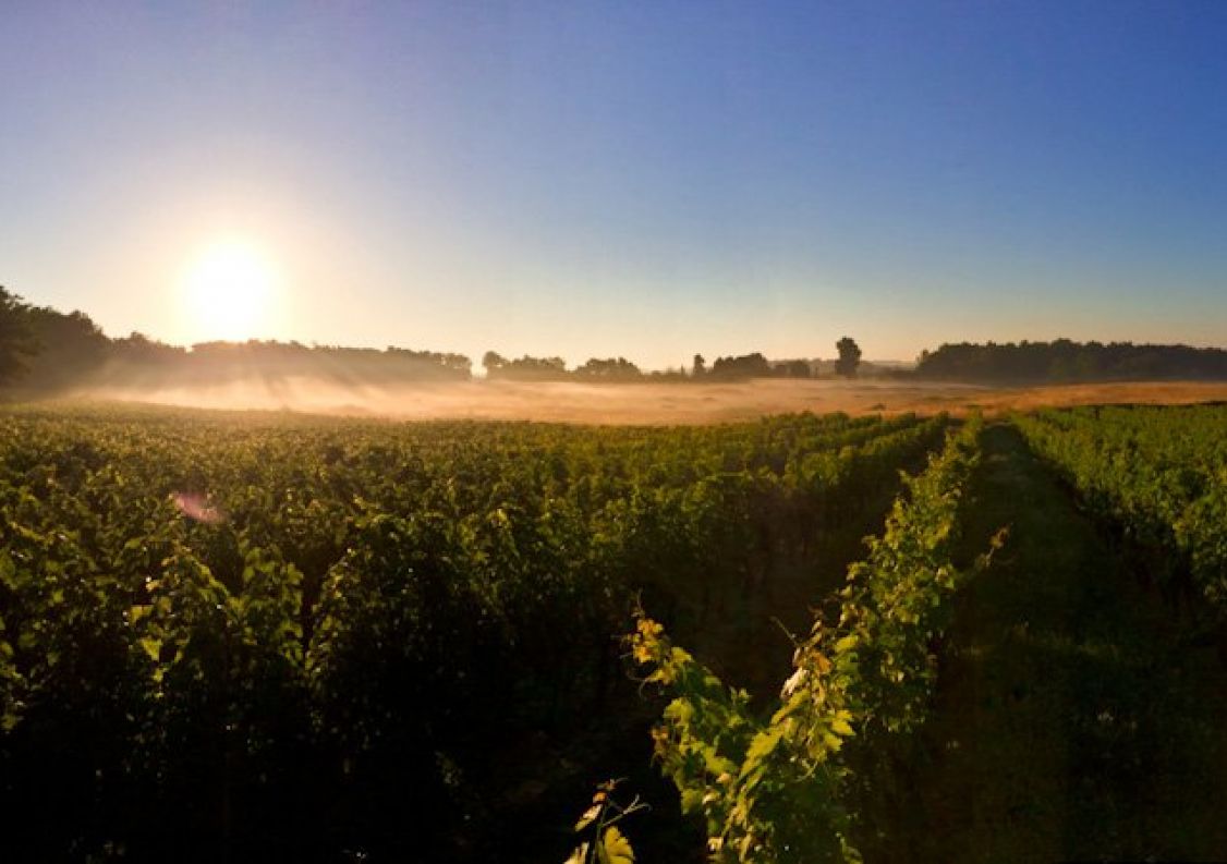 vente Propriété viticole Sauveterre De Guyenne