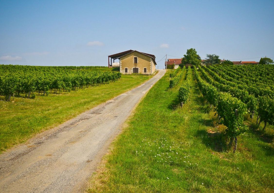 vente Propriété viticole Sauveterre De Guyenne