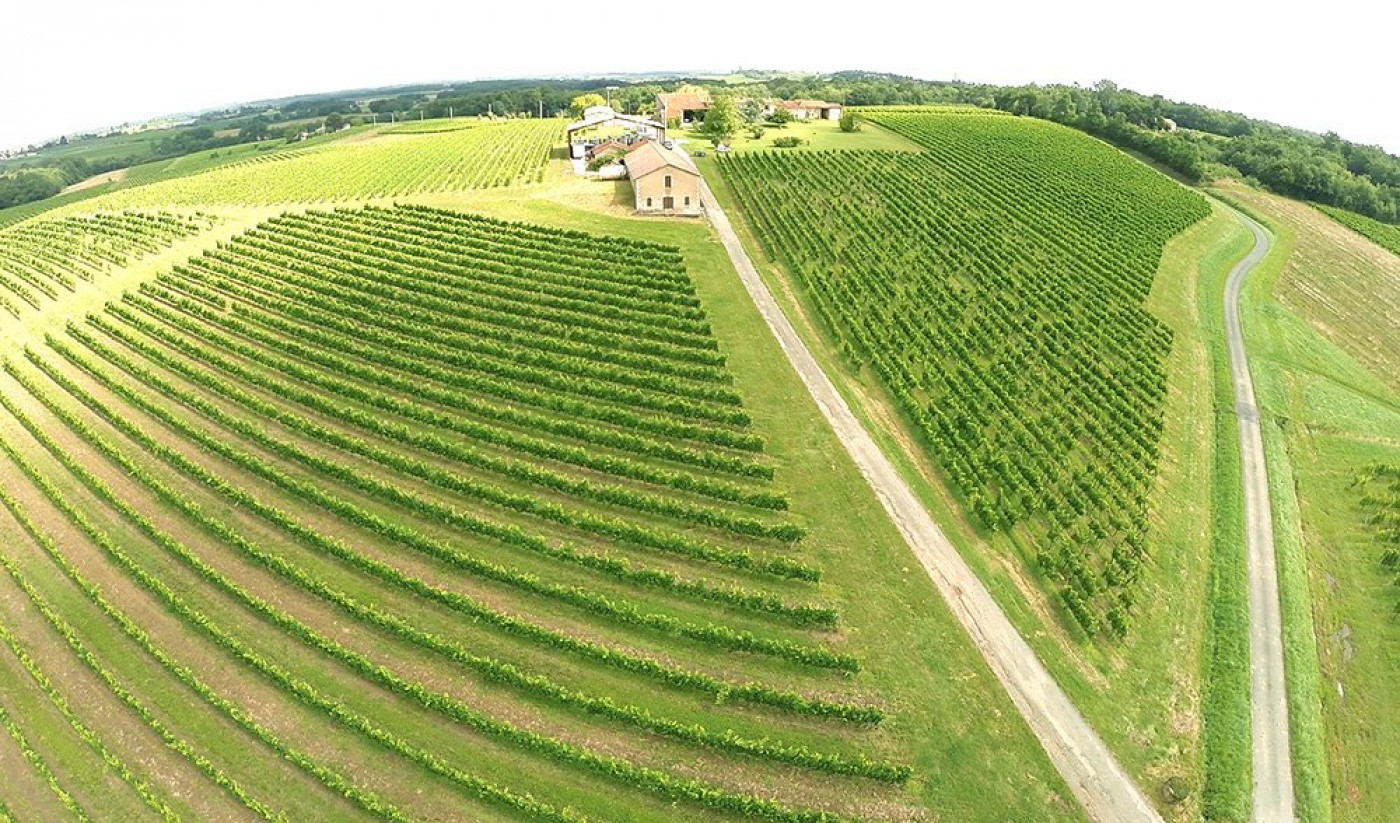sale Propriété viticole Sauveterre De Guyenne - Photo 1