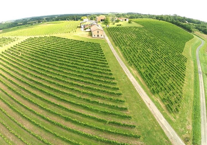 vente Propriété viticole Sauveterre De Guyenne