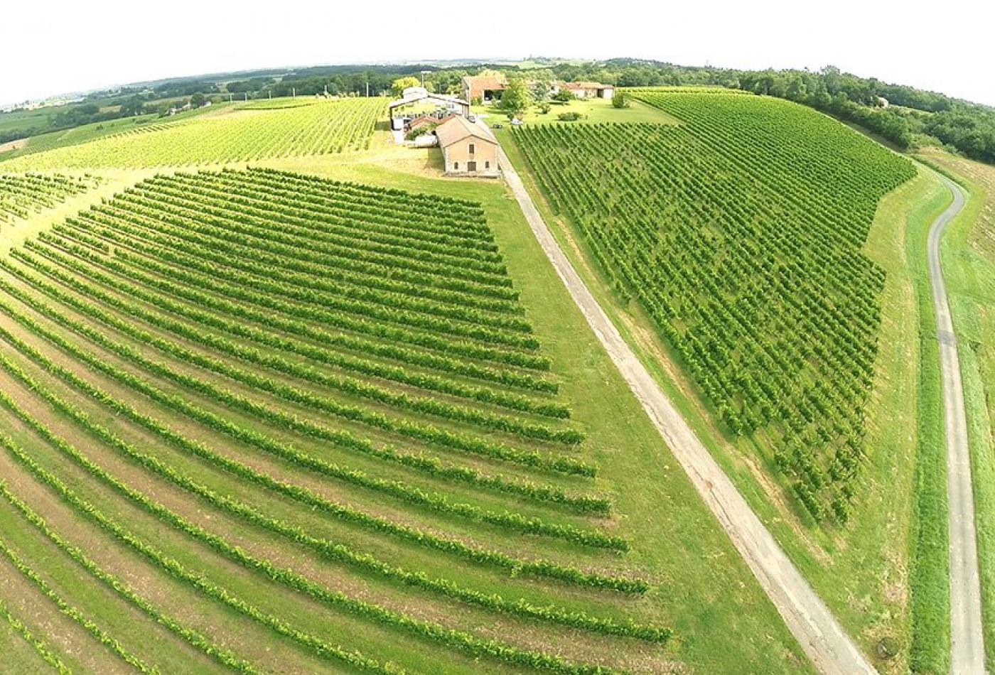 vente Propriété viticole Sauveterre De Guyenne - Photo 1