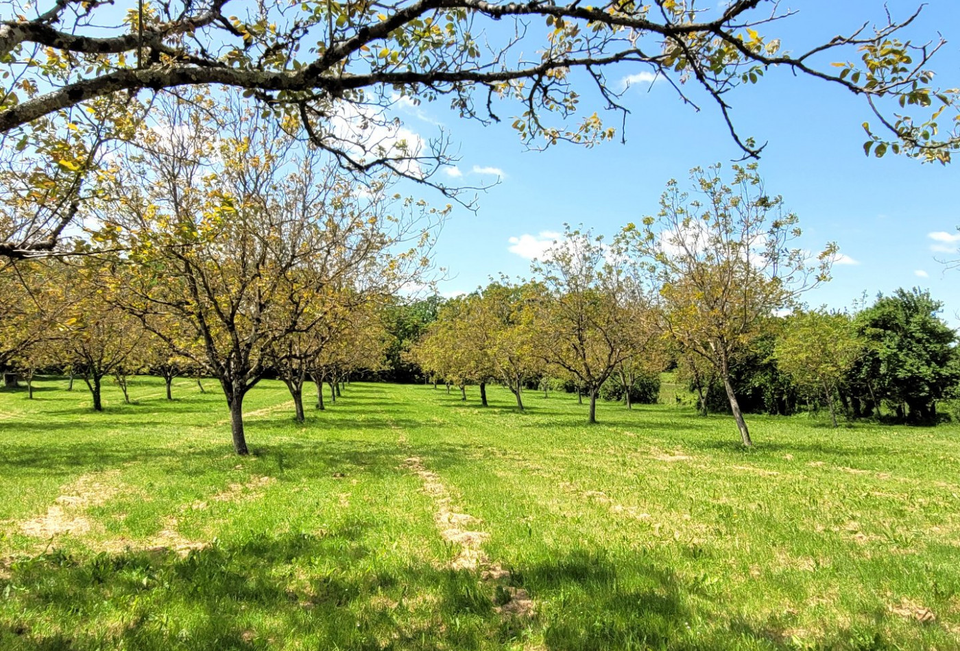 vente Resorts Figeac - Photo 6