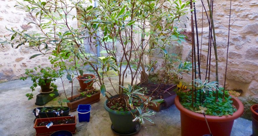 vente Maison de ville Figeac