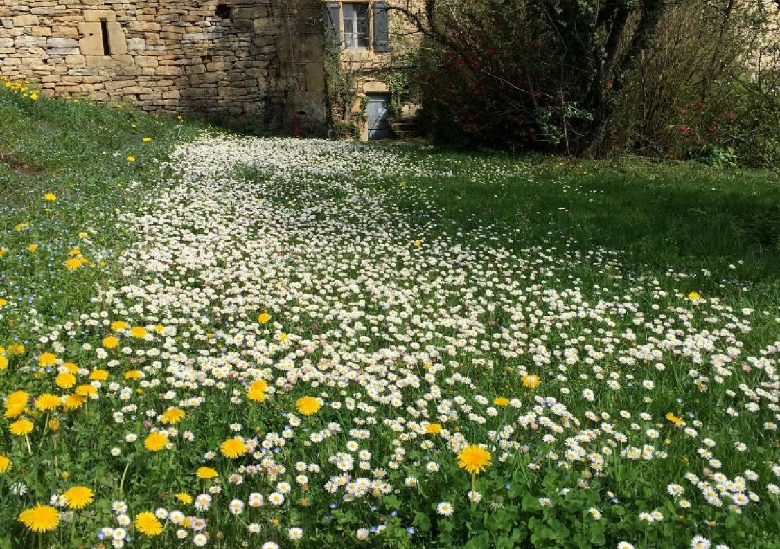 vente Demeure Figeac