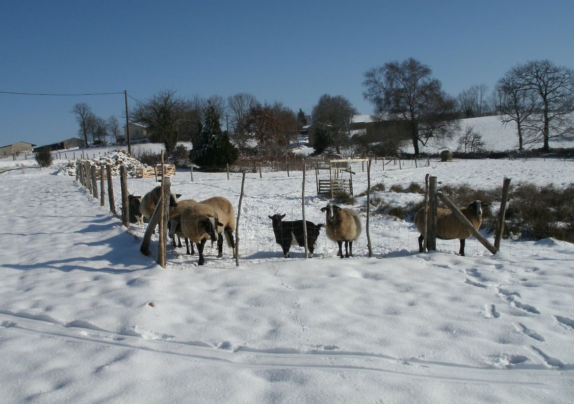 vente Corps de ferme Figeac