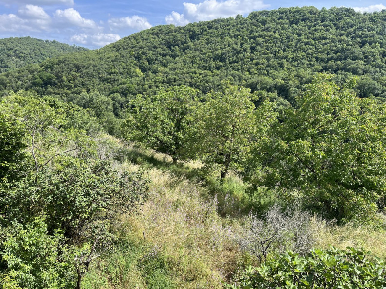 vente Maison à rénover Capdenac Gare - Photo 15