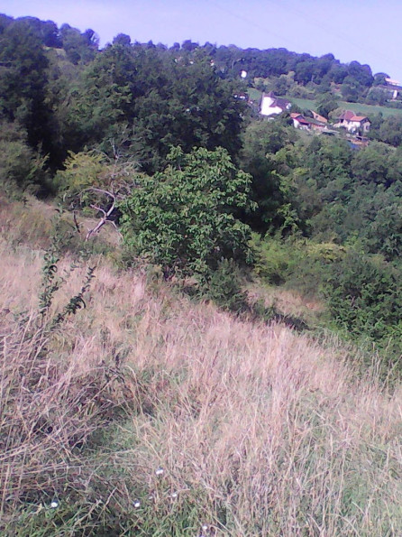 vente Terrain constructible Figeac - Photo 3