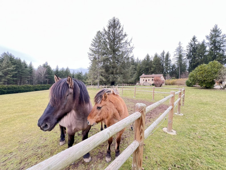 vente Corps de ferme Saint Cere - Photo 2