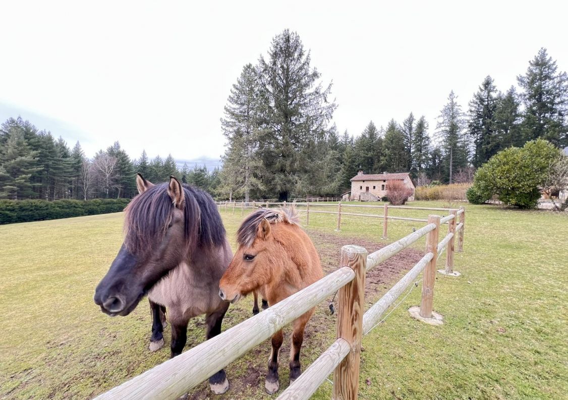 vente Corps de ferme Saint Cere