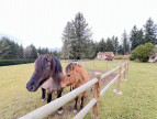 vente Corps de ferme Saint Cere