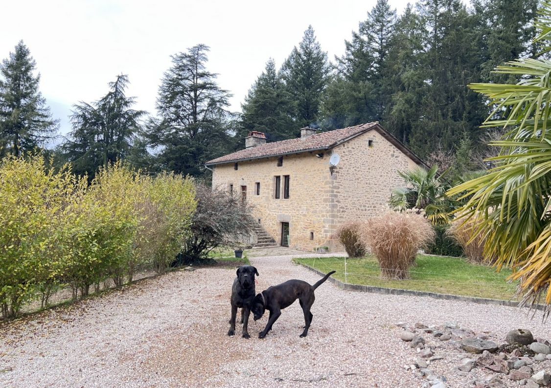 vente Corps de ferme Saint Cere