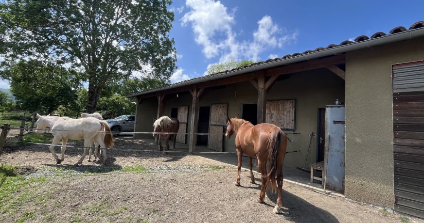 vente Propriété Martres De Riviere