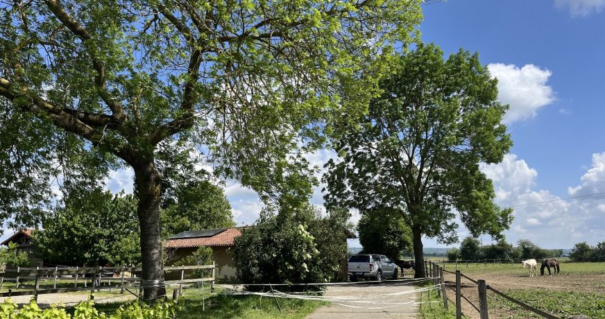 vente Propriété Martres De Riviere