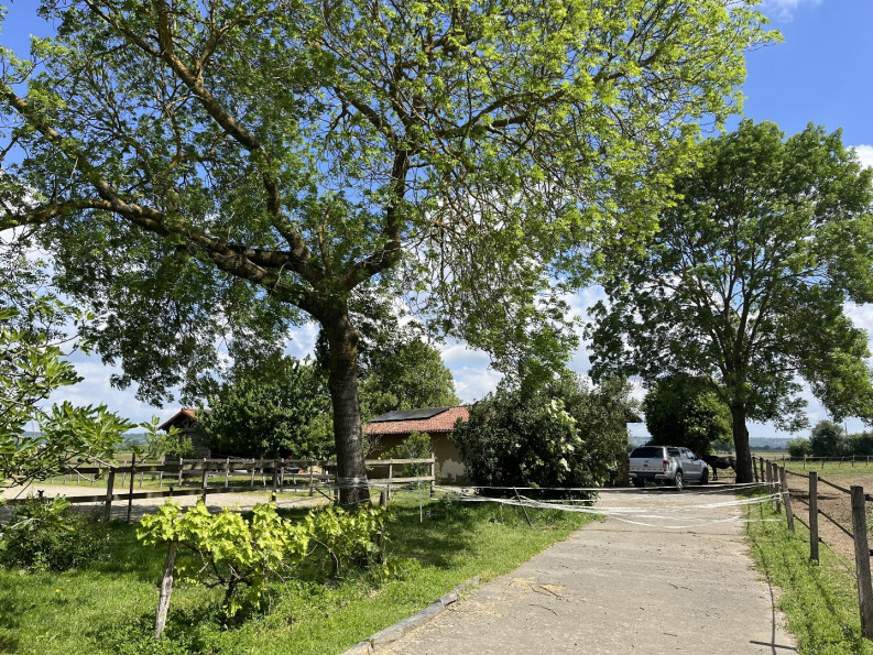 sale Propriété Martres De Riviere - Photo 1