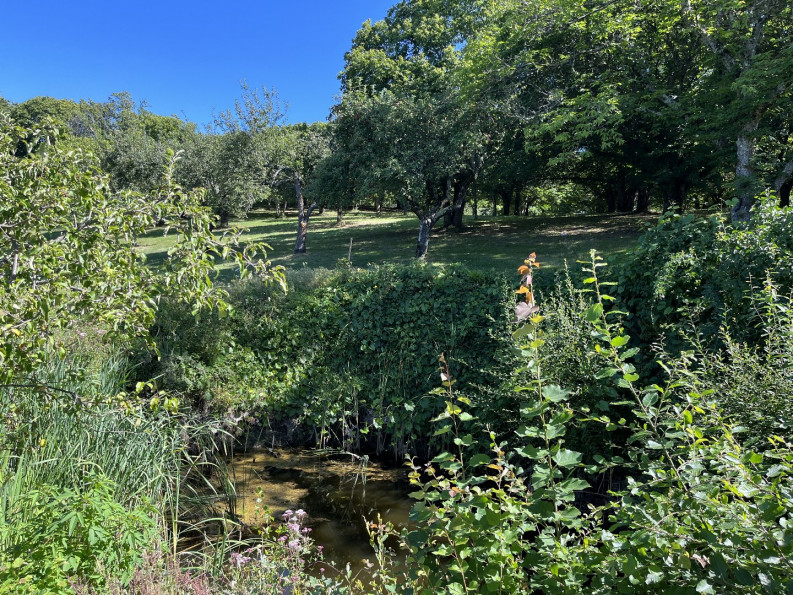 vente Maison de campagne Saint Perdoux - Photo 17