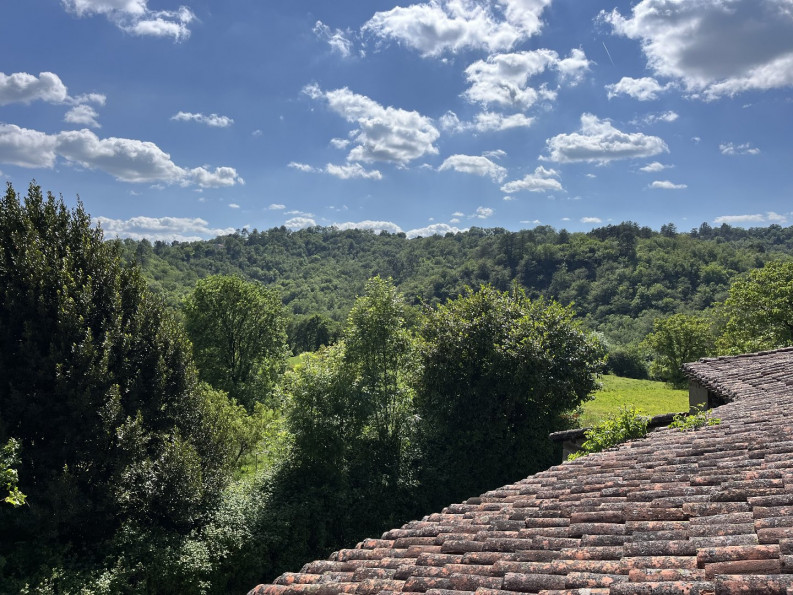 vente Maison à rénover Viazac - Photo 1