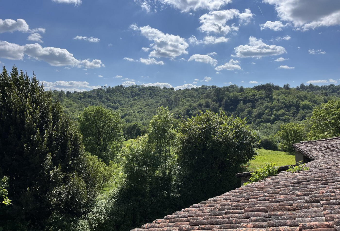 vente Maison à rénover Viazac - Photo 1