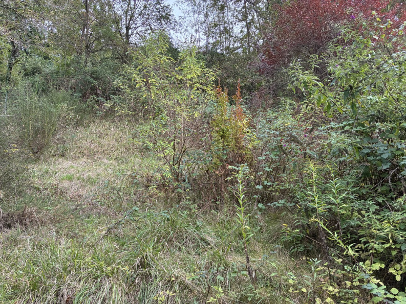 vente Maison Figeac - Photo 13