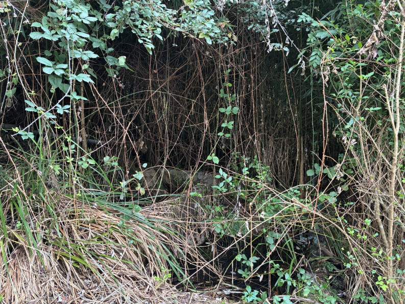 vente Maison Figeac - Photo 16