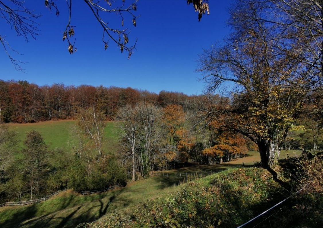 vente Propriété Figeac