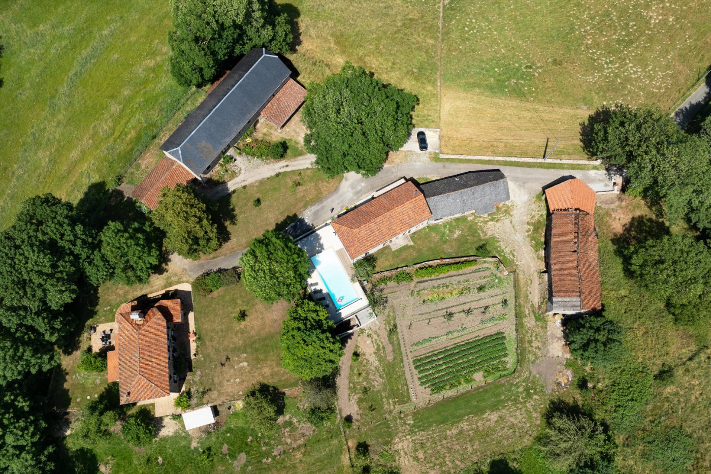 sale Domaine Figeac - Photo 1