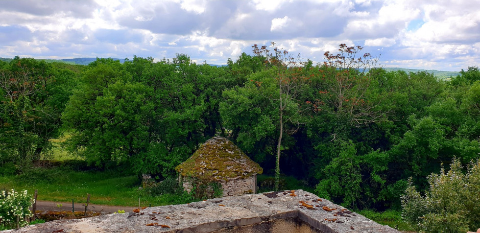 vente Mas Grezes - Photo 5