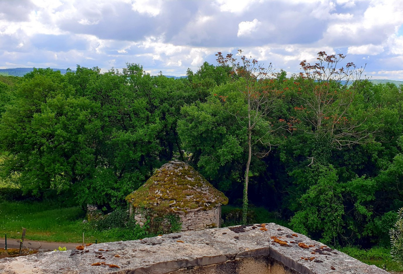 vente Mas Brengues - Photo 5