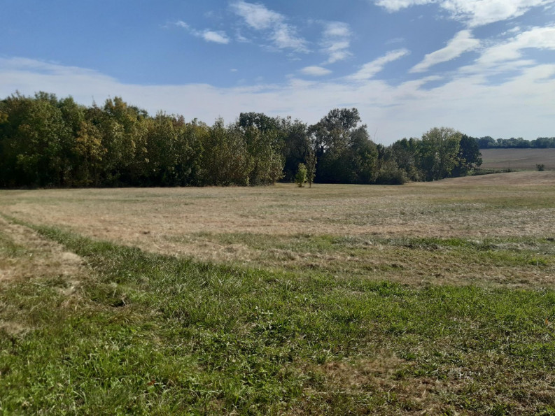 vente Terrain constructible Pauilhac - Photo 1