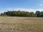 vente Terrain constructible Pauilhac