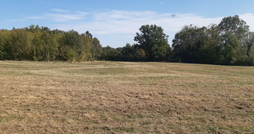 vente Terrain constructible Pauilhac