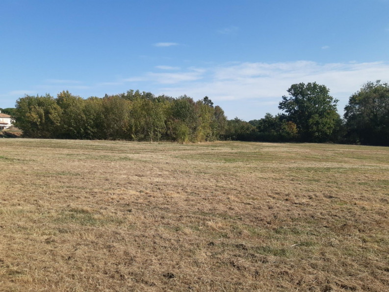 vente Terrain constructible Pauilhac - Photo 5