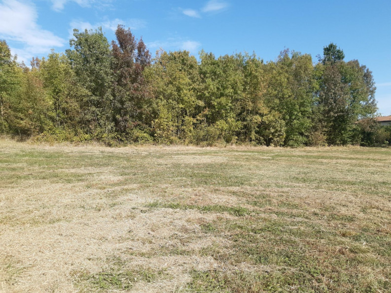 vente Terrain constructible Pauilhac - Photo 7