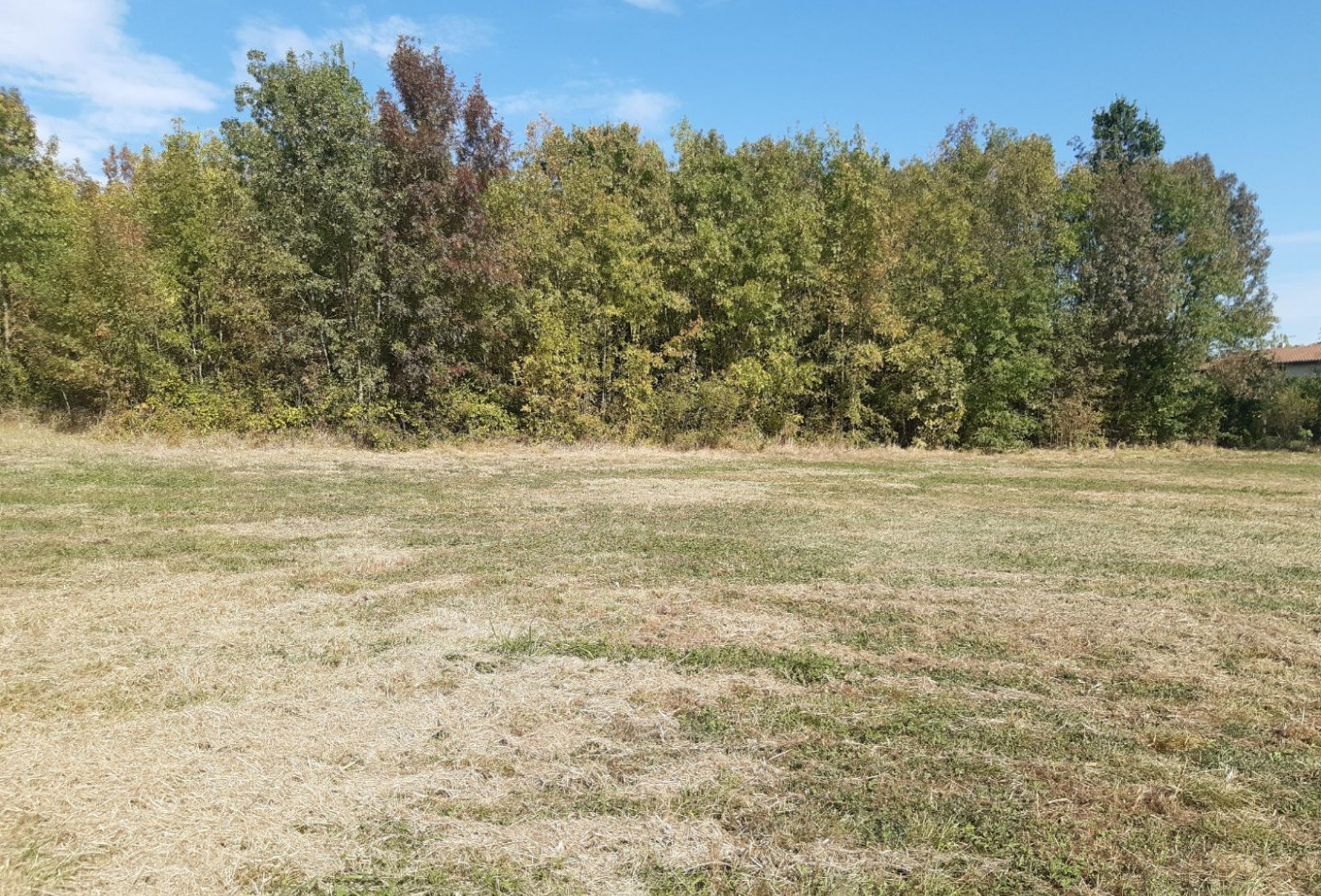 vente Terrain constructible Pauilhac - Photo 7