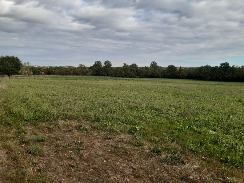 sale Maison Fleurance - Photo 16