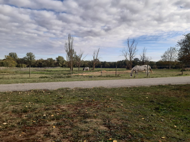 sale Maison Fleurance - Photo 14