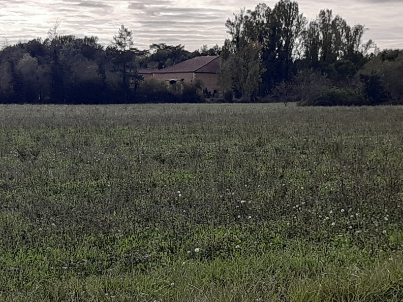 sale Maison Fleurance - Photo 4