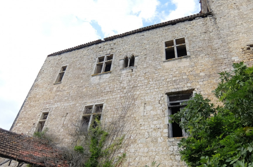 vente Château Valence Sur Baise - Photo 7