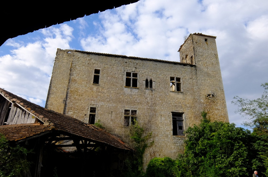 vente Château Valence Sur Baise - Photo 1