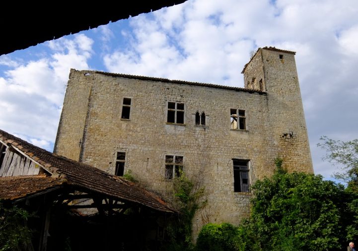 vente Château Valence Sur Baise