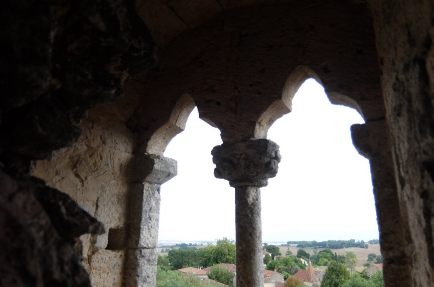 vente Château Valence Sur Baise - Photo 10