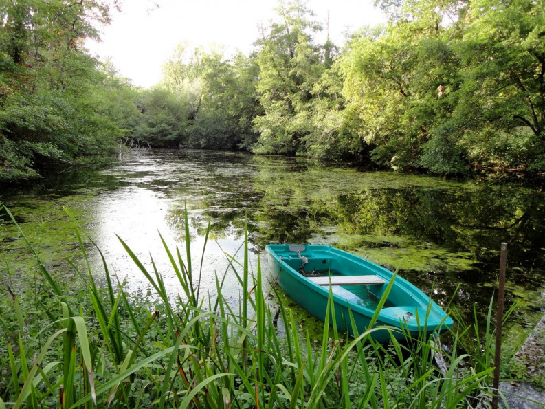 vente Château Nerac - Photo 4