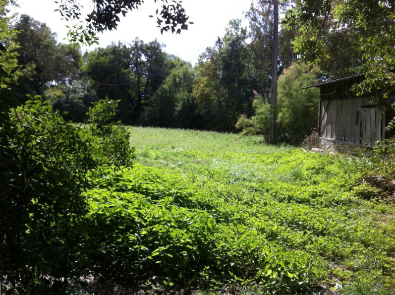 vente Maison Lectoure - Photo 17