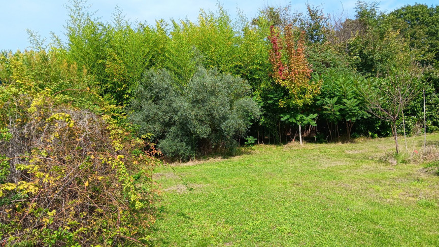 vente Maison Fleurance - Photo 11