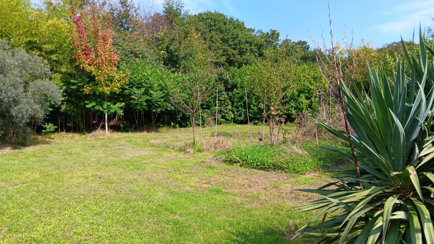 vente Maison Fleurance - Photo 18