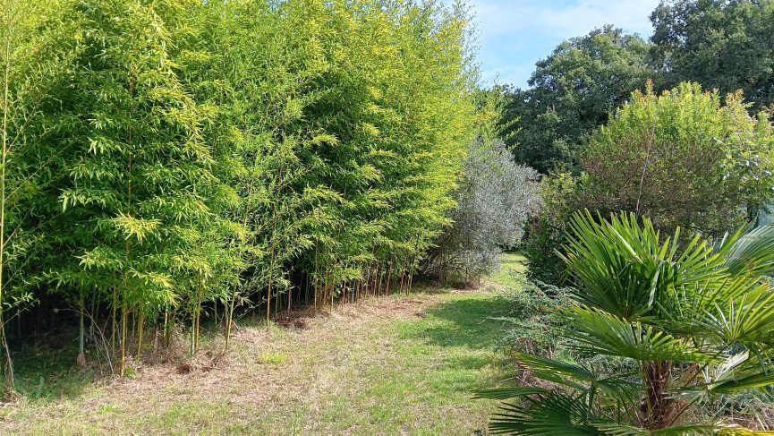 vente Maison Fleurance - Photo 3