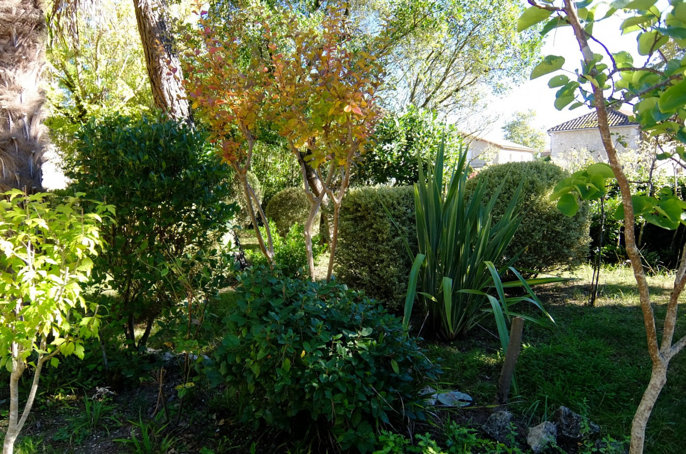 vente Demeure de ville et village Lagraulet Du Gers - Photo 17