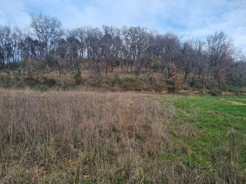 vente Terrain constructible Auch - Photo 3